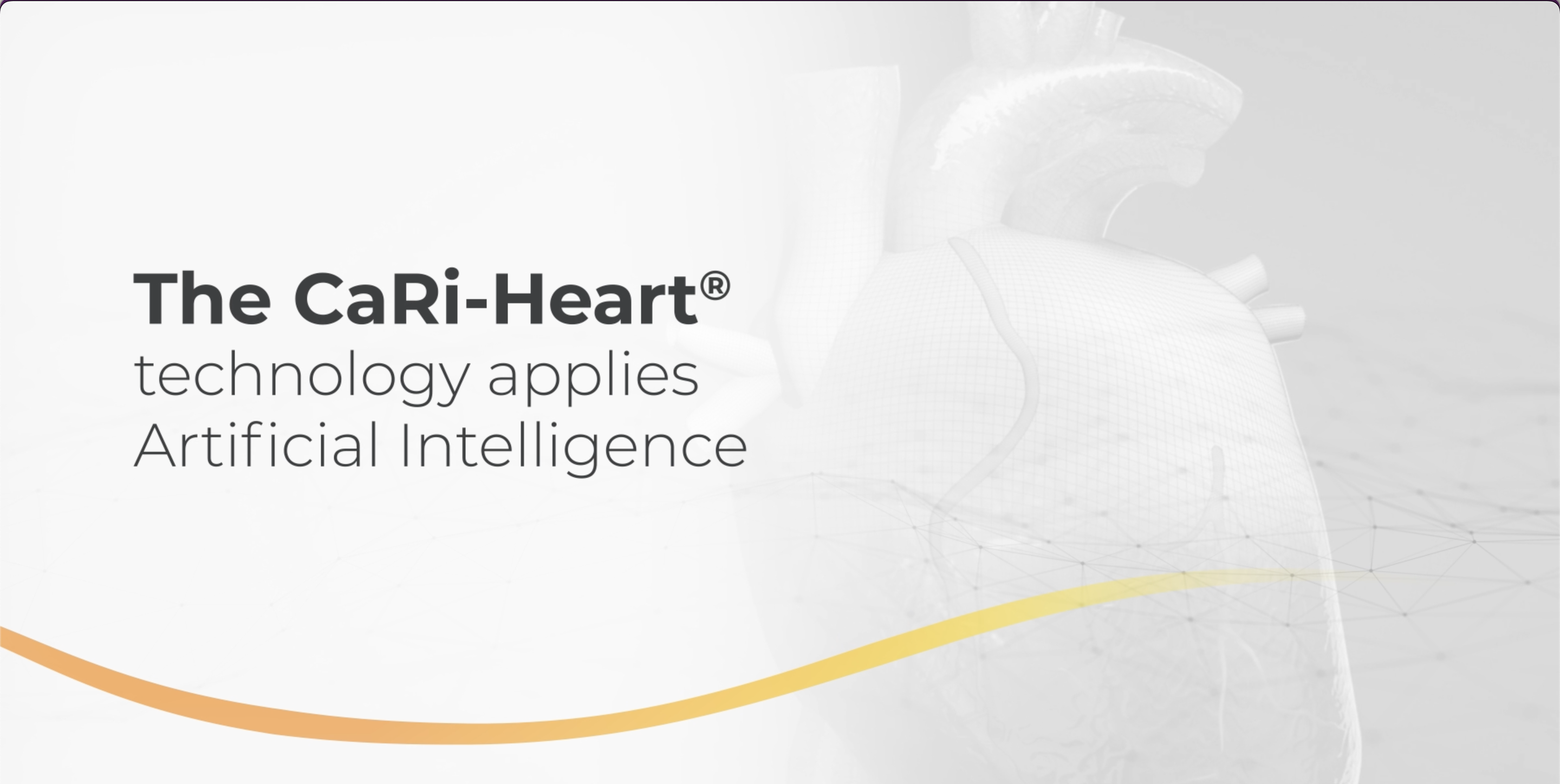 CaRi-Heart Workflow New Video